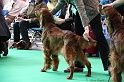 Crufts2011 676